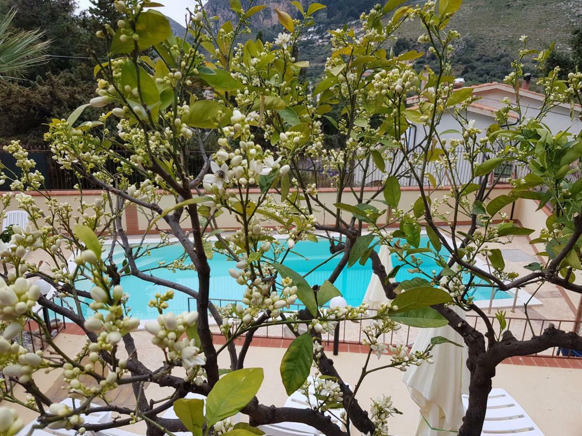 Apartment Del Golfo *